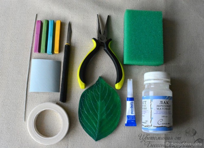 Создаем эвкалипт "Бейби Блю" из фоамирана: часть 1