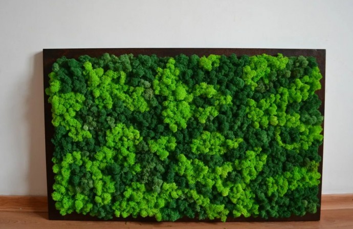 ​Панно из мха