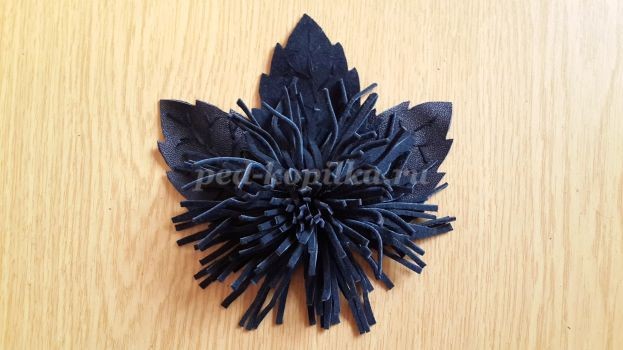 ​Астра из кожи: часть 2