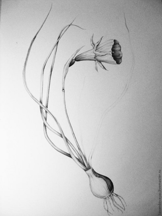 ​Рисуем изящный необычный цветок: часть 4