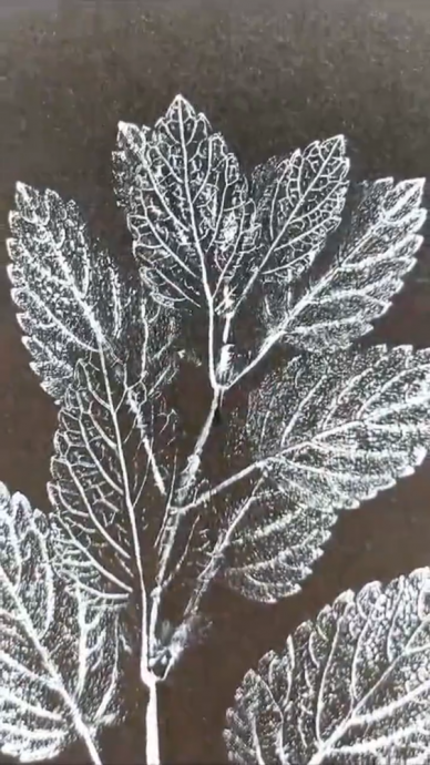 ​Ботаническая монотипия своими руками