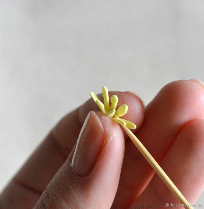 Создание краспедии из фоамирана