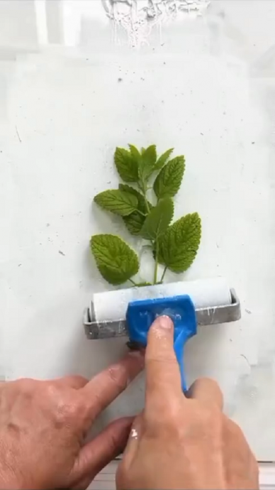 ​Ботаническая монотипия своими руками