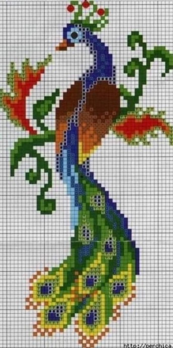 Вышиваем прекрасных павлинов