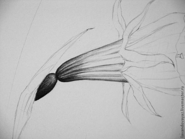 ​Рисуем изящный необычный цветок: часть 2