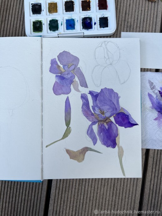 Ирисы акварелью
