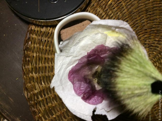 Как высушить цветок мака, чтобы его лепестки не помялись при сушке: часть 2