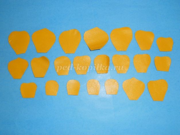 Роза из кожи: часть 1