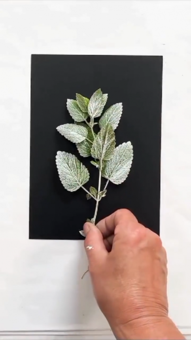 ​Ботаническая монотипия своими руками