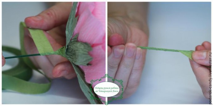 Делаем распушившийся пион из гофрированной бумаги и конфеты: часть 4