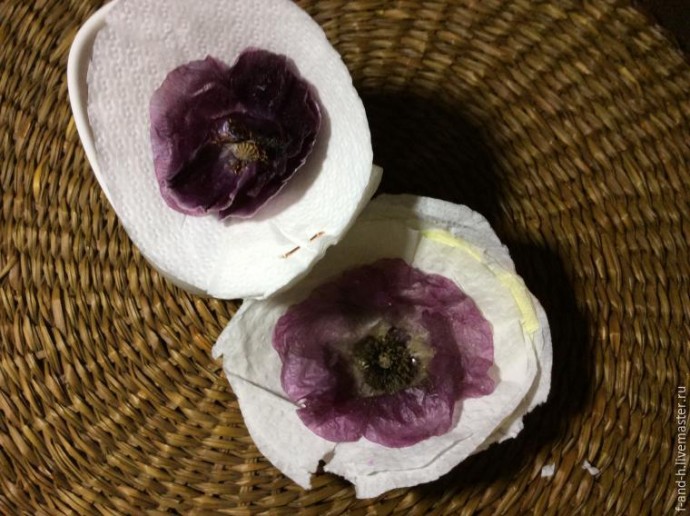 Как высушить цветок мака, чтобы его лепестки не помялись при сушке: часть 2