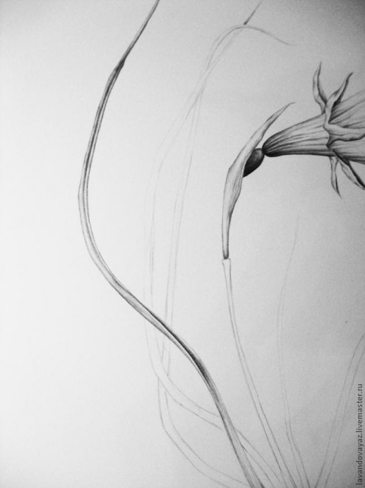 ​Рисуем изящный необычный цветок: часть 3