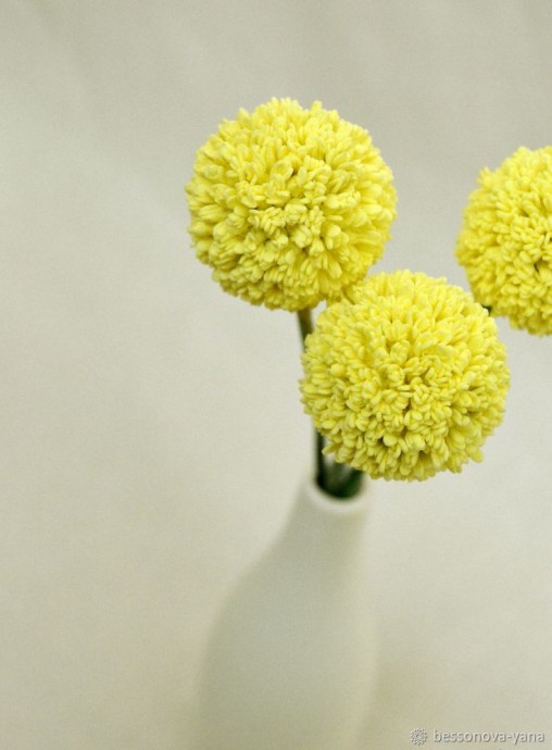 Создание краспедии из фоамирана