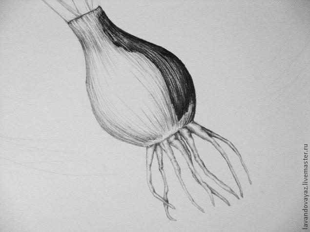 ​Рисуем изящный необычный цветок: часть 2