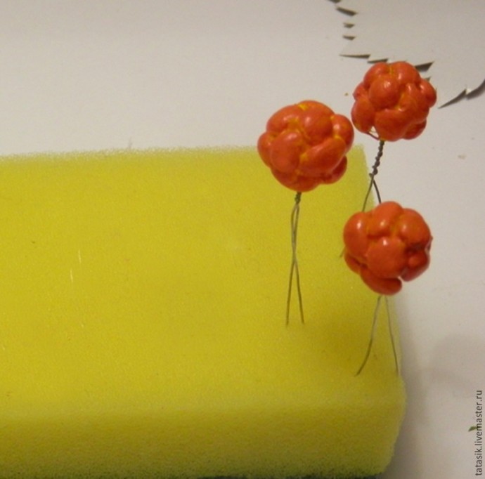 Не совсем обычный способ изготовления морошки: часть 1