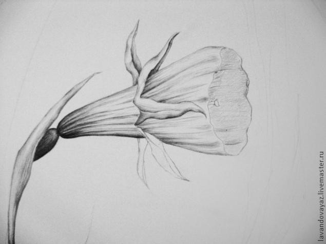 ​Рисуем изящный необычный цветок: часть 3