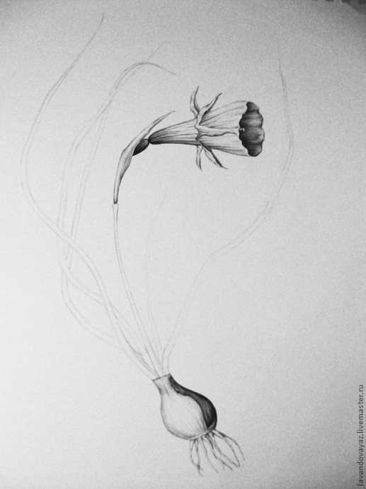 ​Рисуем изящный необычный цветок: часть 3