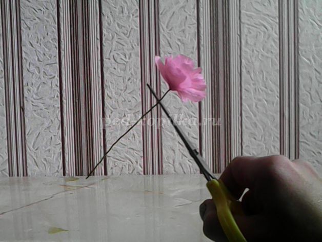 ​Топиарий "Дерево любви": часть 2