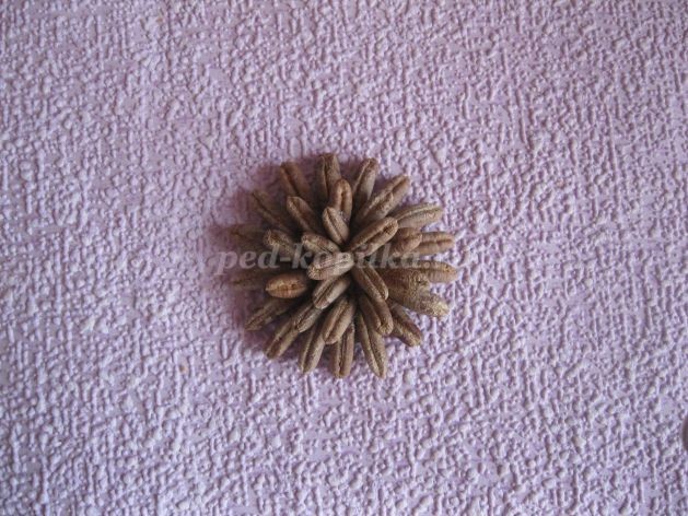 Цветы из косточек фиников и кедровых орехов: часть 1