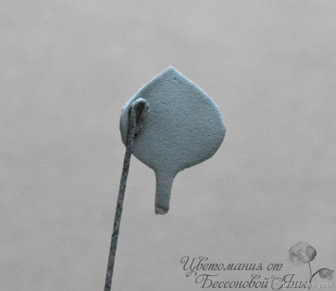 Создаем эвкалипт "Бейби Блю" из фоамирана: часть 1