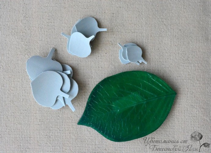 Создаем эвкалипт "Бейби Блю" из фоамирана: часть 1