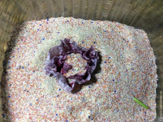 Как высушить цветок мака, чтобы его лепестки не помялись при сушке: часть 1