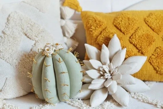 Подушки-суккуленты