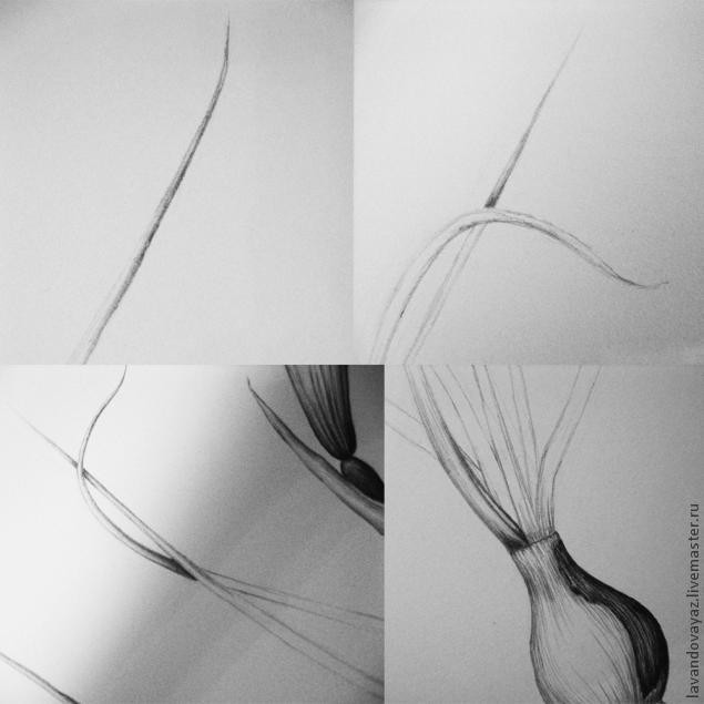 ​Рисуем изящный необычный цветок: часть 3