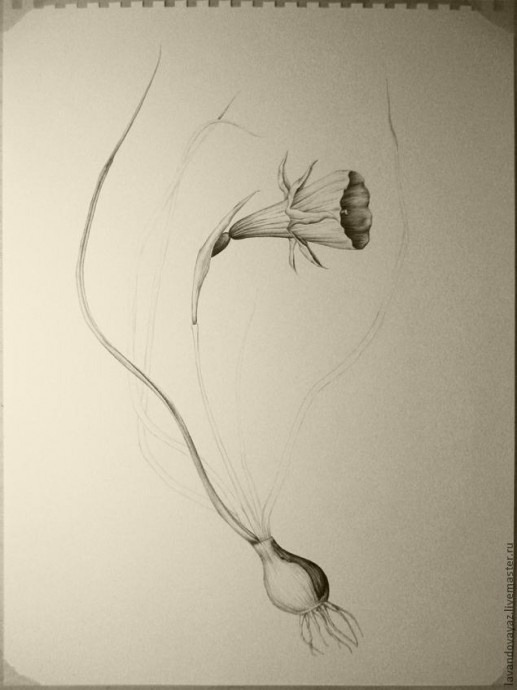 ​Рисуем изящный необычный цветок: часть 4