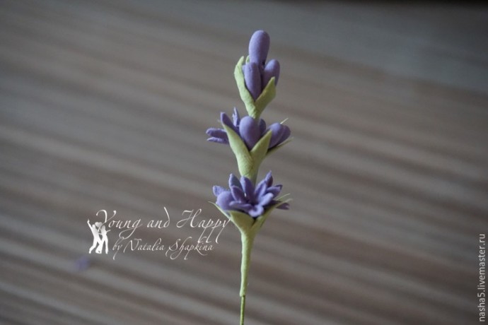 Лепим из полимерной глины веточки лаванды: часть 2