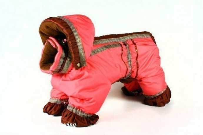 ​Выкройка комбинезона для собачки с описанием работы