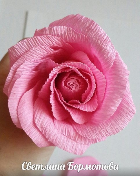 Розы из гофрированной бумаги