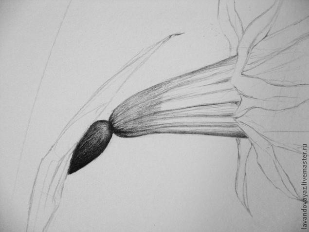 ​Рисуем изящный необычный цветок: часть 2