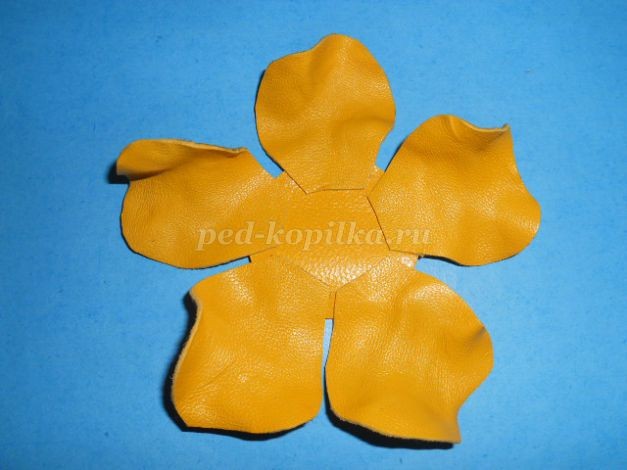 Роза из кожи: часть 1