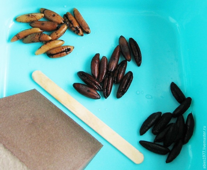 Делаем пуговицы из финиковых косточек Делаем пуговицы из финиковых косточек