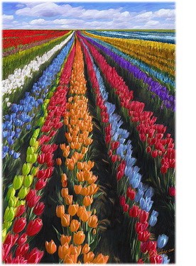 ​Валяем комплект "Жизнь как чудо": часть 1