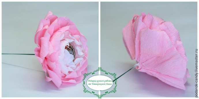 Делаем распушившийся пион из гофрированной бумаги и конфеты: часть 4