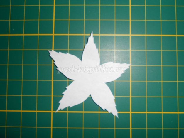 ​Роза из кожи: часть 2