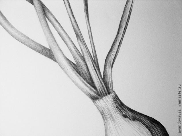 ​Рисуем изящный необычный цветок: часть 4