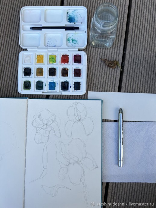 Ирисы акварелью