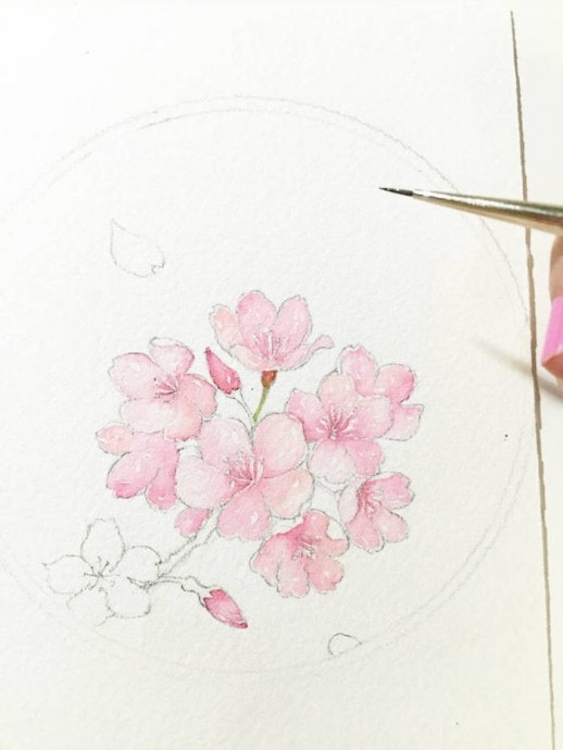 ​Учимся рисовать цветы поэтапно