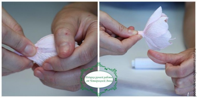 Делаем распушившийся пион из гофрированной бумаги и конфеты: часть 3 Делаем распушившийся пион из гофрированной бумаги и конфеты: часть 3