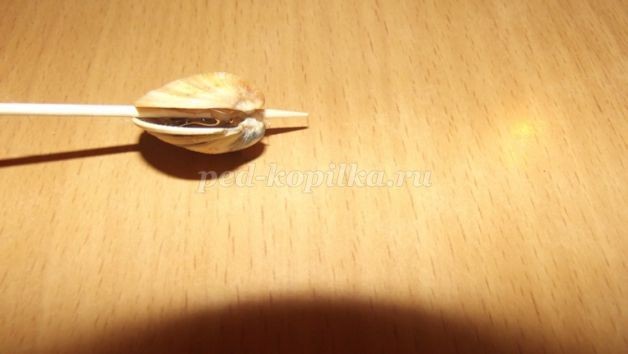 Кораблик из ракушек: мастер-класс