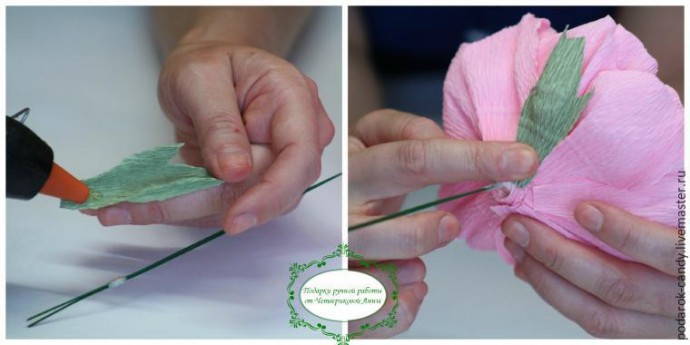 Делаем распушившийся пион из гофрированной бумаги и конфеты: часть 4