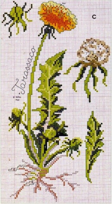 ​Вышиваем одуванчики