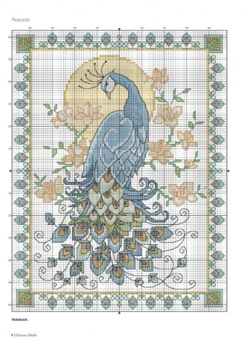 Вышиваем прекрасных павлинов