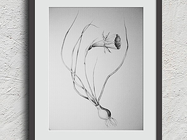 ​Рисуем изящный необычный цветок: часть 1