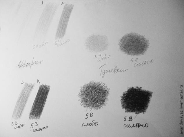 ​Рисуем изящный необычный цветок: часть 1