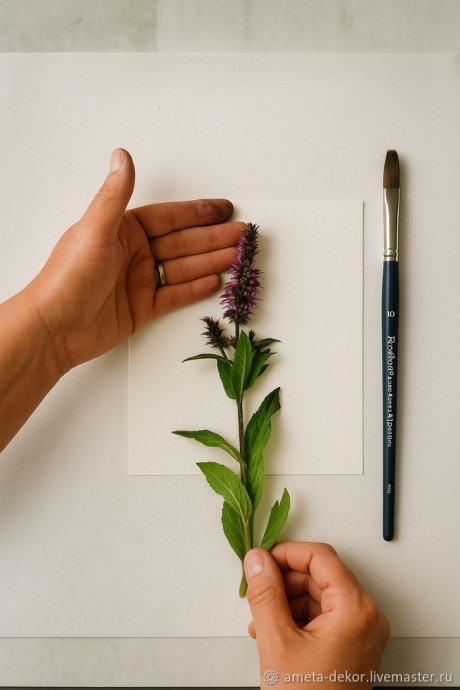 ​Как создать ботаническую монотипию: мастер-класс по переносу рисунка на бумагу