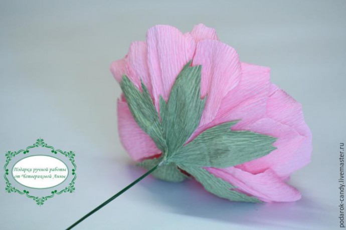 Делаем распушившийся пион из гофрированной бумаги и конфеты: часть 4